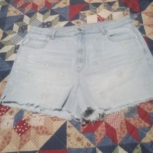 American Eagle Denim Shorts